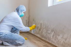 Best Mold Remediation for Healthcare Facilities  in South Whittier, CA