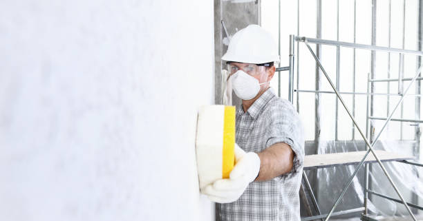 Best Mold Removal for HVAC Installations  in South Whittier, CA